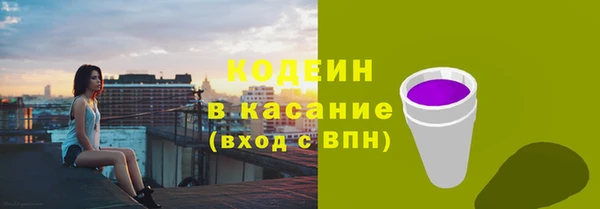 трава Сатка